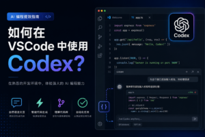 VSCode 使用 Codex 教程：CC Switch 接入 YYLX.IO