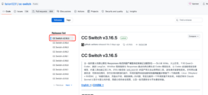 VSCode 使用 Codex 教程：CC Switch 接入 YYLX.IO
