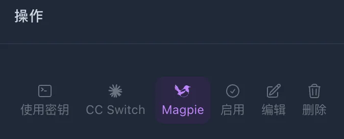 API 密钥操作栏中的 Magpie 按钮