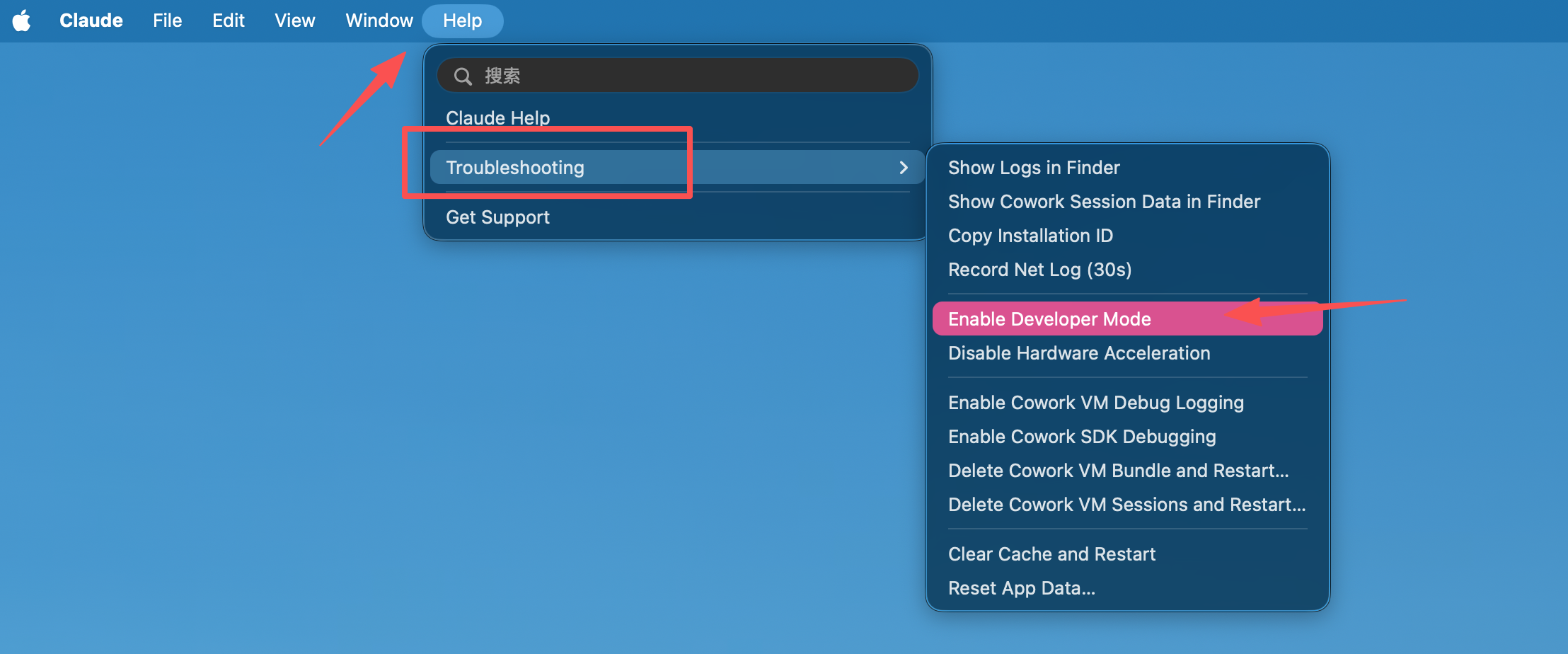 Enable Developer Mode